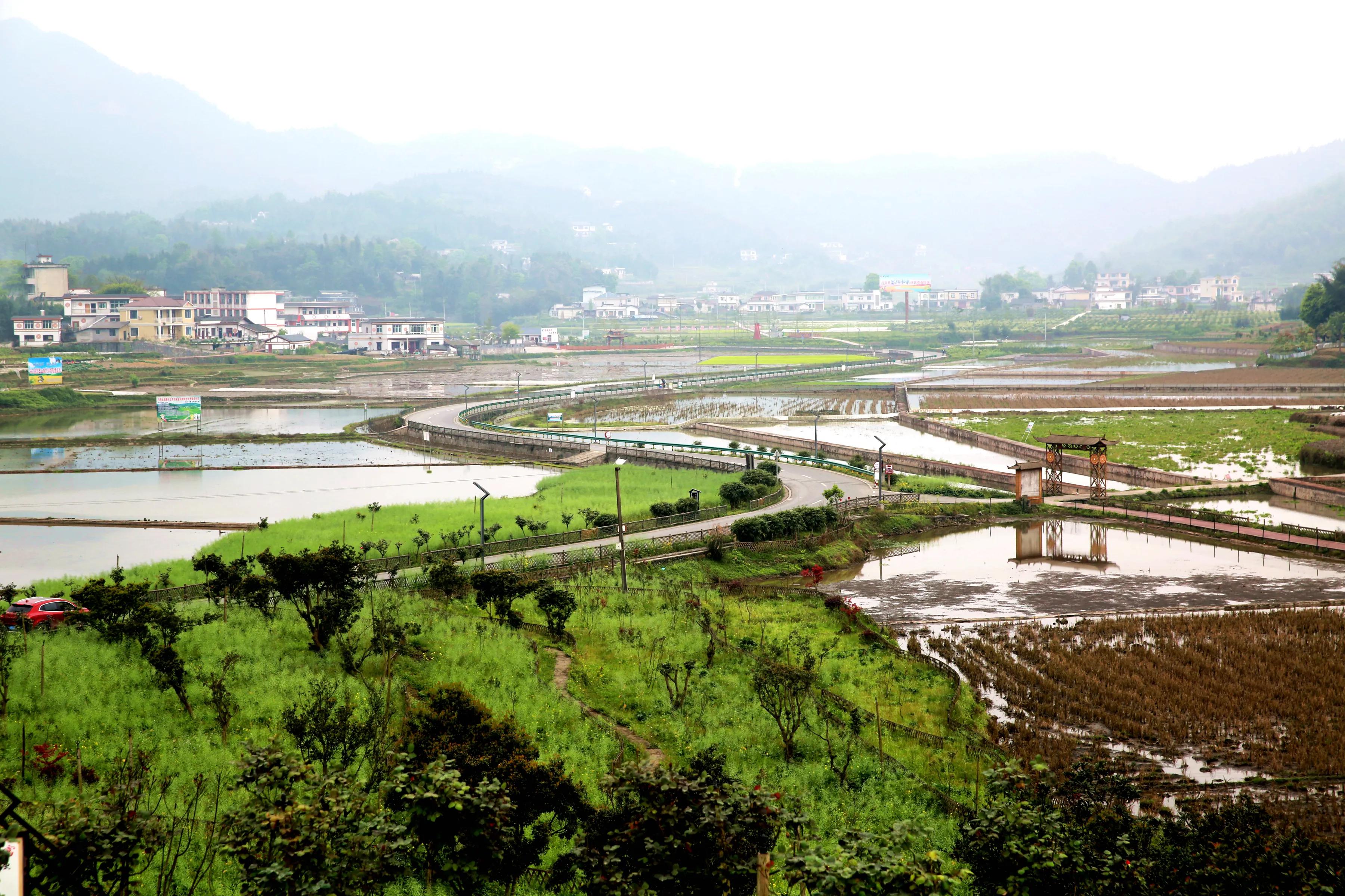 四川興文縣因地制宜發揮生(shēng)态原産地優勢加快特色農業發展