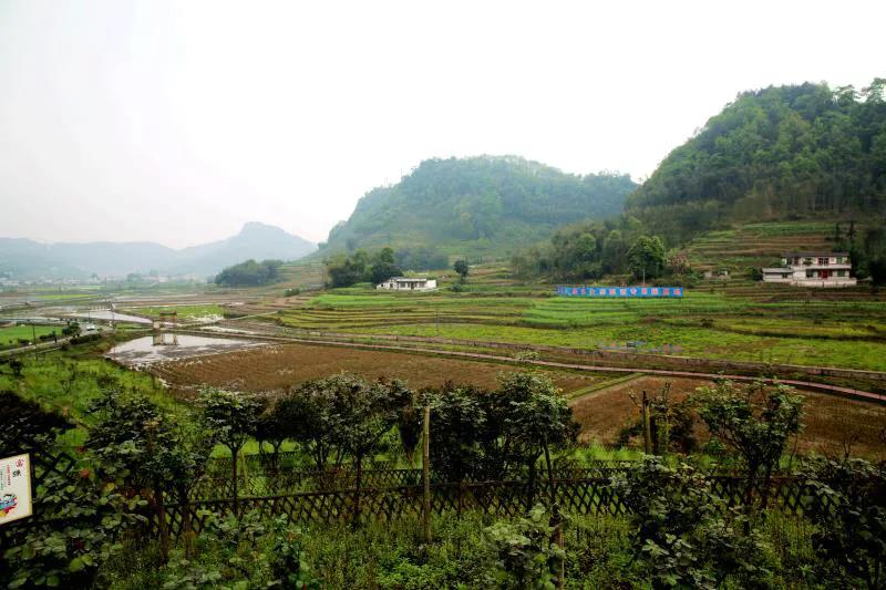 四川興文縣因地制宜發揮生(shēng)态原産地優勢加快特色農業發展